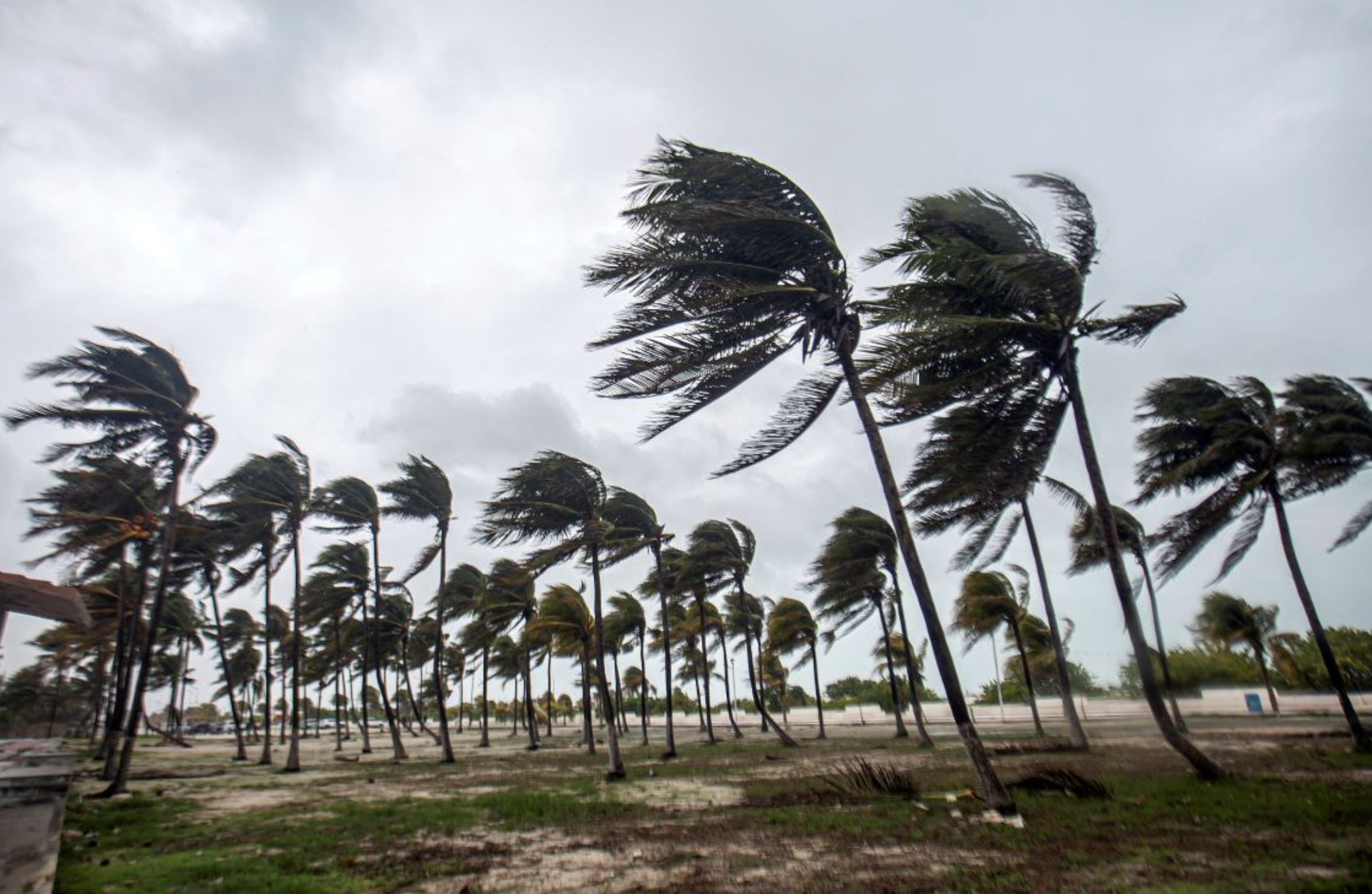 Beryl avanza hacia el Golfo de México y podría llegar a Texas